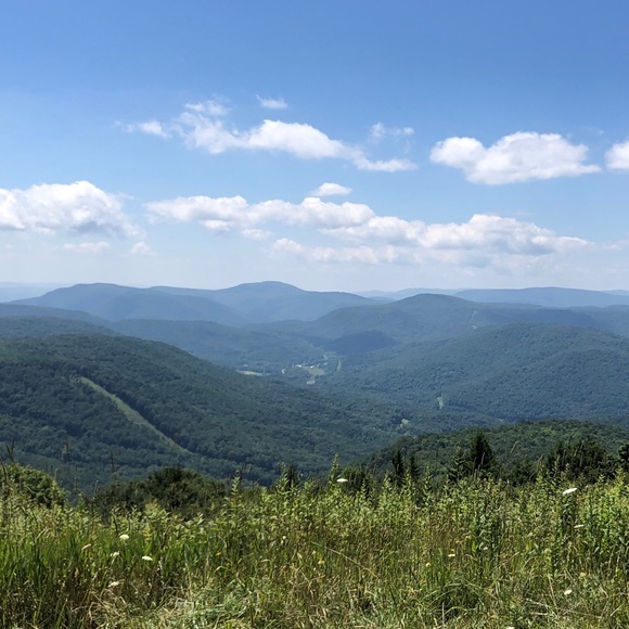 Meet your Posher, Nicole - Picture 1 of 1